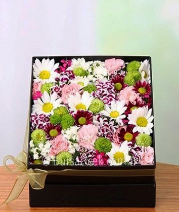 Bitaneme-Kutuda Kır Çiçekleri 